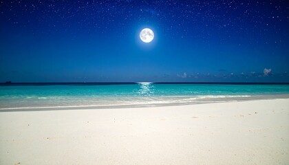 満月の光が水面に映る夜の南国ビーチの風景