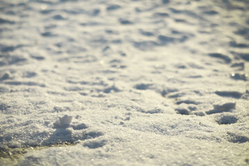 Winter Snow Texture with Sunlit Sparkles on Soft Surface of Freshly Fallen Snowflakes