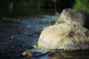 Tranquil River Scene with Smooth Rocks and Flowing Water in Natural Green Surroundings