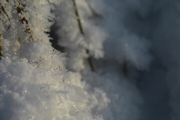 Close-Up of Delicate Frost Crystals on Twigs in a Winter Wonderland