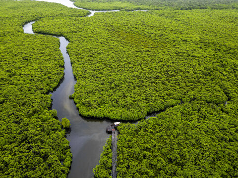 Aerial view of a dark river snaking through a vibrant green mangrove forest, a wooden structure nestled amid the trees, Manda, Lamu County, Kenya.