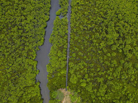 Aerial view of a narrow waterway cutting through a dense, vibrant green forest, creating a striking contrast of natural colors, Manda, Lamu County, Kenya.