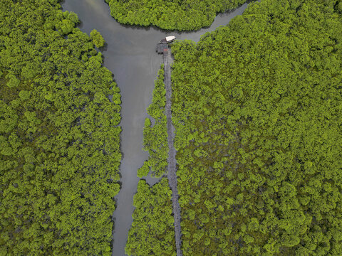 Aerial view of a narrow waterway cutting through dense green mangrove forests, a small boat docked at a wooden pier, Manda, Lamu County, Kenya.