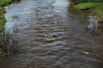 Serene River Flowing Through Lush Greenery on a Sunny Day
