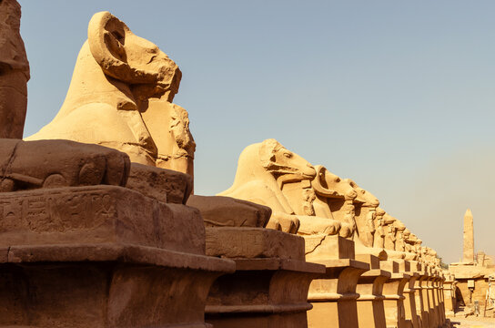 Stone sphinxes with ram heads lined up in Karnak Temple complex in Luxor Egypt 28 February 2025
