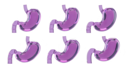 Six translucent purple stomach models in a grid on a white background suitable for medical education and health concepts