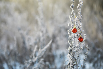 Frost-Covered Plants with Red Christmas Ornaments in Winter Landscape