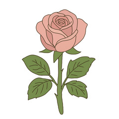 Hand-drawn pink rose flower illustration in flat vector style with transparent background