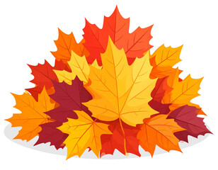 maple leaves isolated on white