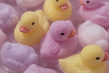 Soft pastel duck toys float in water, creating playful and whimsical scene