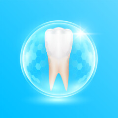 Premolar teeth in a transparent hexagonal bubble dome modern on blue background. Human tooth organ strong and healthy. Dentist medical health care and protection. 3D Vector EPS10.
