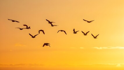 Wild Bird Silhouette Against Dramatic Sunset