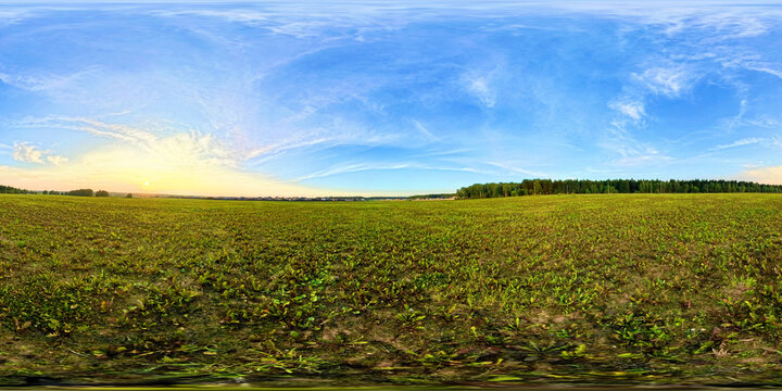 360 HDRI image of a scenic countryside field at sunset, with dramatic sky and distant treeline. Ideal for nature renders, VR environments, and landscape visualizations.