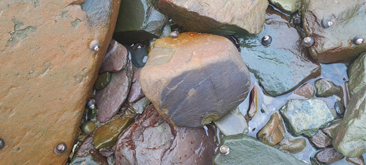 Wet colorful rocks and periwinkles forming abstract design at the seashore