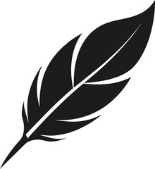 feather vector illustration
