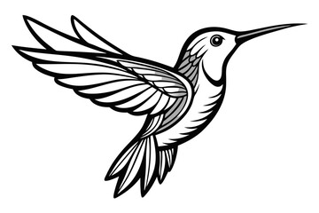 Fototapeta premium vector illustration of a bird