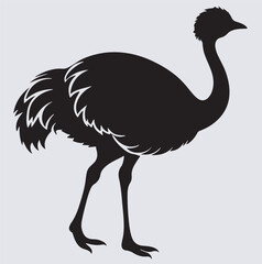ostrich bird silhouette vector art illustration, ostrich isolated on white background