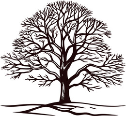 Obraz premium Detailed silhouette illustration of large leafless tree with branches and roots visible on clean white background