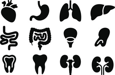 Set of black and white vector icons depicting human internal anatomy and organs vector illustration.