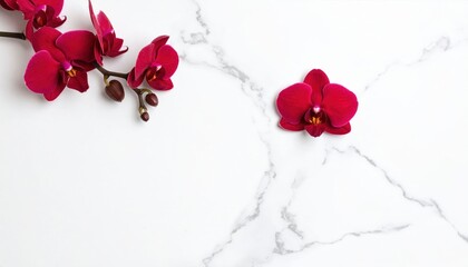 Red Orchid Arrangement On White Marble Background