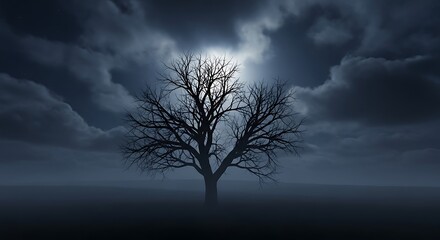 Photo of a lone tree stands silhouetted against a dark and cloudy night sky