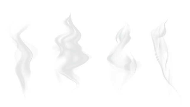 Naklejki Realistic steam or smoke on hot tea, coffee, food. PNG Stock royalty free. 