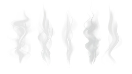 Realistic steam or smoke on hot tea, coffee, food. PNG Stock royalty free.  © Vector light Studio