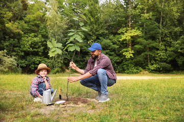 Father and his son planting tree into soil outdoors, space for text