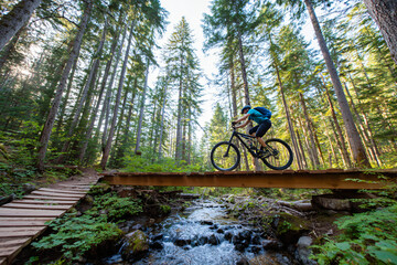 mountain bike rider crossing wooden bridge over creek with forest canopy filtering sunlight, adventure cycling