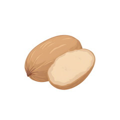 Whole and sliced nutmeg on transparent  background  