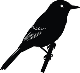 Minimalist Bird Silhouette Vector Art on Perch, Isolated Black Avian Design Element, Ideal for Nature Themes, Logos, and Modern Graphic Projects.
