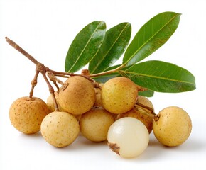 Fresh Longan Fruit with Stems on White Background, Summer Subtropical Fruit from Southern China with Translucent Flesh