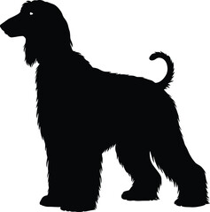 Black Afghan Hound dog silhouette vector, perfect for pet, breed, or animal-themed designs, showcasing the elegant and distinctive profile of this sighthound breed.