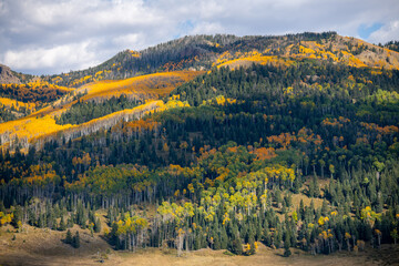 Fall Mountains