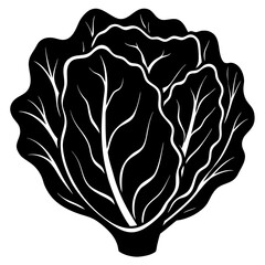 Vector art of silhouette of a fresh green cabbage vegetable, a healthy food isolated on white background