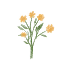 Hand-Drawn Yellow Flowers Illustration with Green Leaves. Ideal for spring-themed designs, greeting cards, stickers, nature decor, and digital crafts 