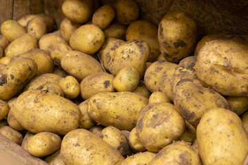 shelves in a vegetable store, brightly colored vegetables and fruits potato