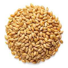 A pile of uncooked barley grains isolated on a white background