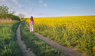 Young woman walks a country road across the rapeseed field near the forest. Girl strolls a lush green landscape with beautiful yellow canola blossoms