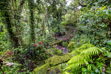 Magical Bali