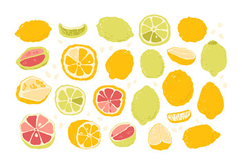 Lemon, lime, grapefruit, tangerine, lemon, orange, lemonade, color fruit illustration