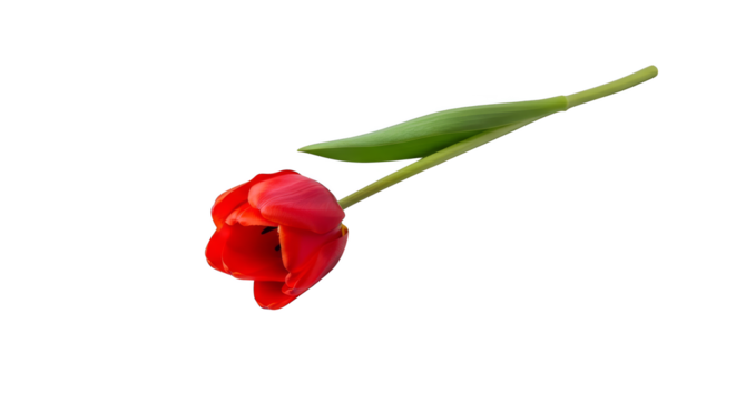 Vibrant bloom contrasts glitchy background