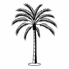 Obraz premium Date Palm Icon Vector