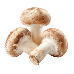 Brown capped mushrooms with creamy stems grouped together fungi white, Isolated On White, Png Transparent, Cut Out