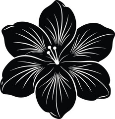 Elegant Black and White Floral Design Featuring a Detailed Flower Silhouette