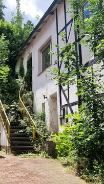 Treppe ins Nichts zugewachsen mit Pflanzen