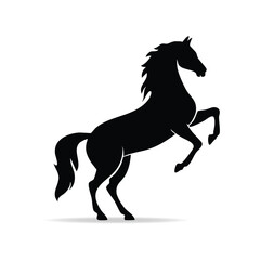 Obraz premium Majestic Black Horse Rearing Up Proudly on a White Background