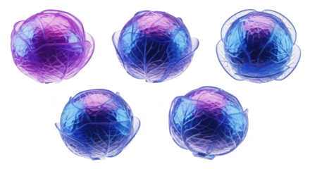 Several digital abstract purple cabbages are floating against a blank white background perfect for healthy food imagery