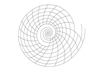 Delicate white spiral pattern creating mesmerizing abstract design on transparent backdrop, perfect for graphic compositions