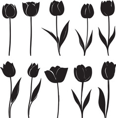 Collection of sleek black vector silhouettes of tulip flowers